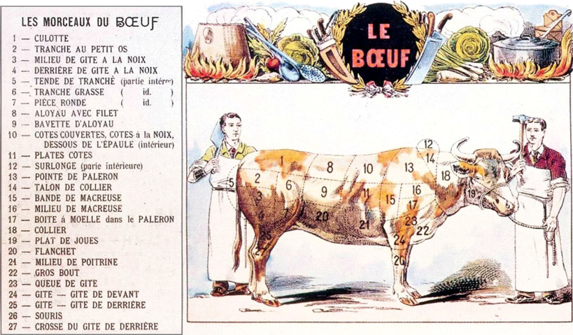Carcasse historique